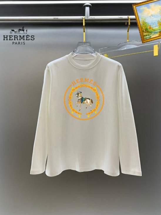 Picture of Hermes T Shirt Long _SKUHermesS-4XL25tx4451271